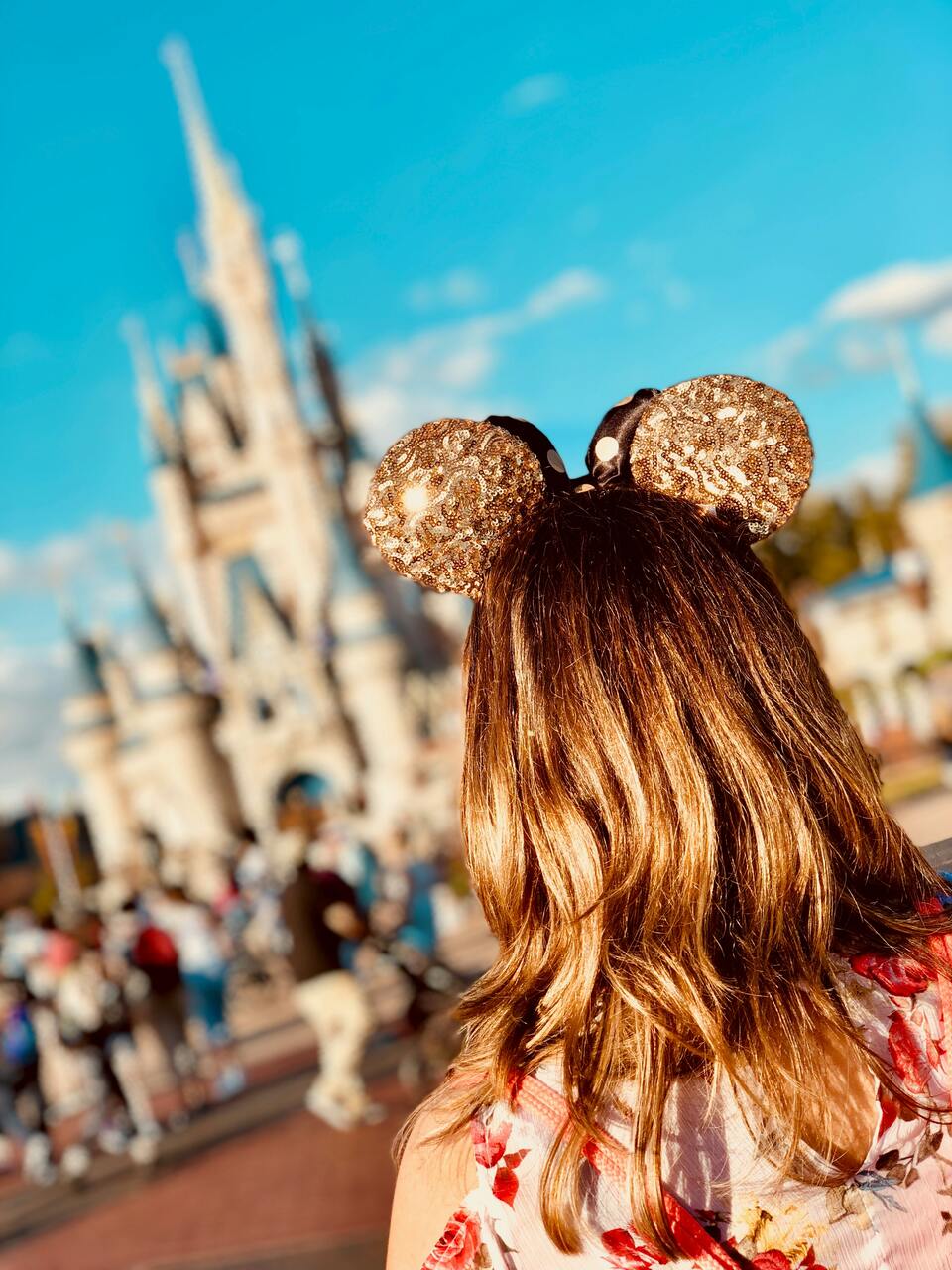 family trip to disney world in the magic kingdom image