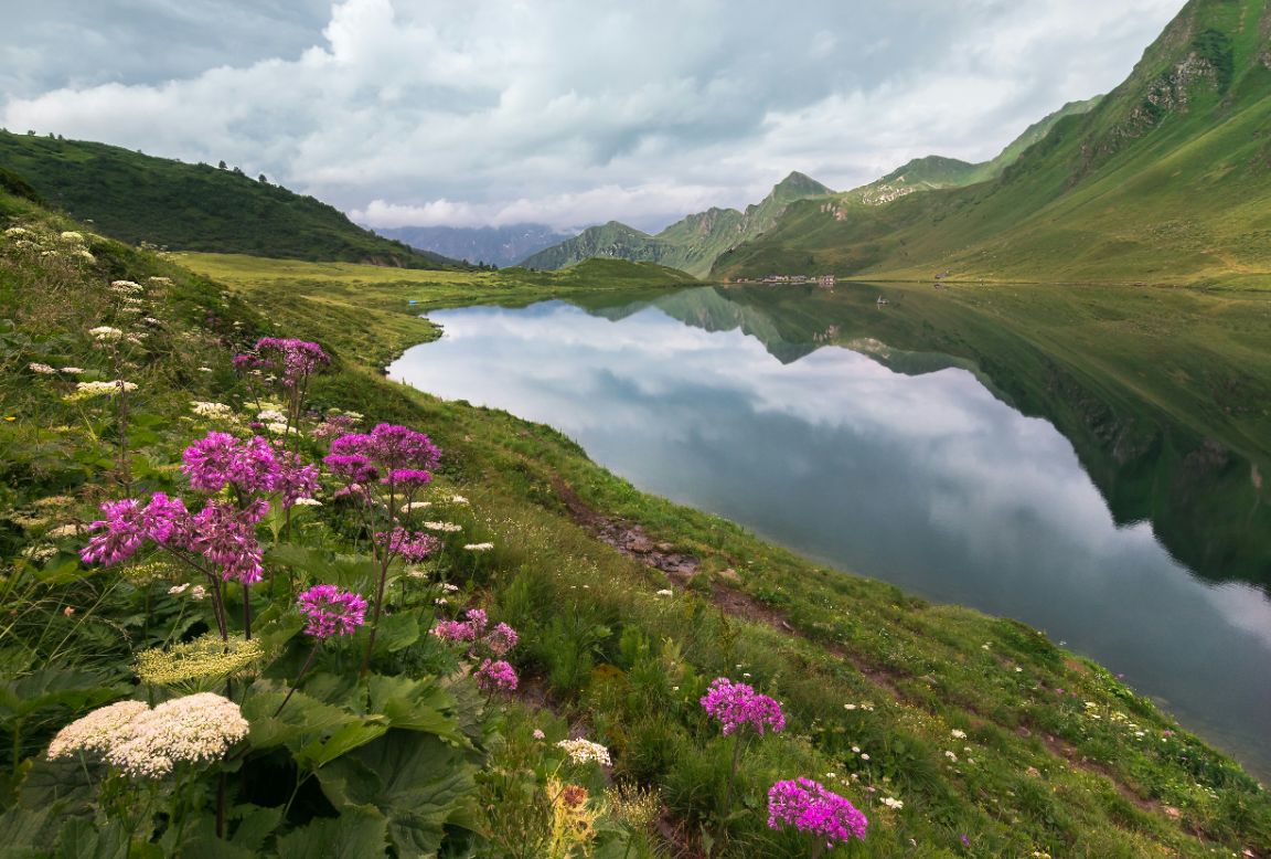 Mountain lake with flowers