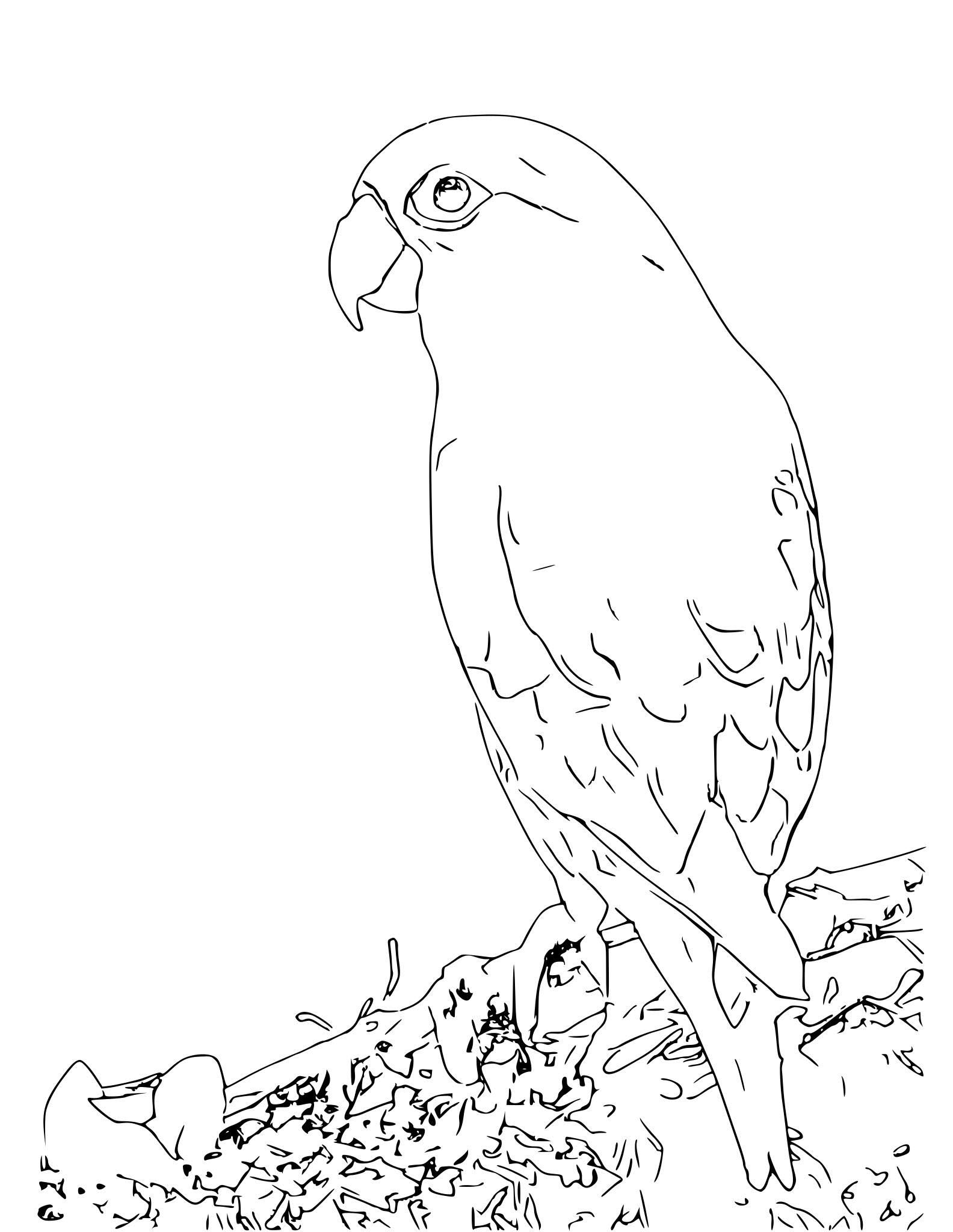  coloring page